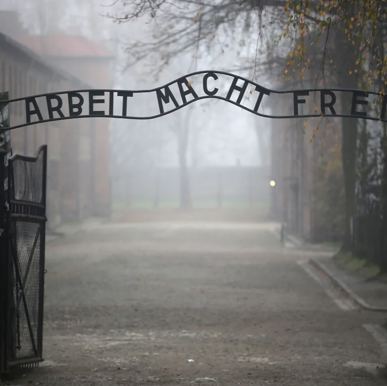 może być obrazkiem przedstawiającym Auschwitz-Birkenau